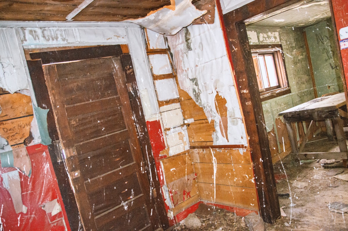 Basement Water Removal service in Camden, NJ