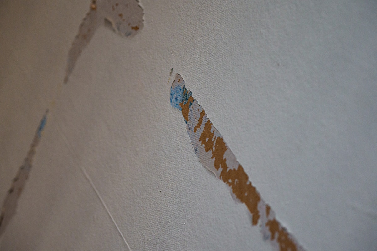 Sewage Cleanup service in Camden, NJ